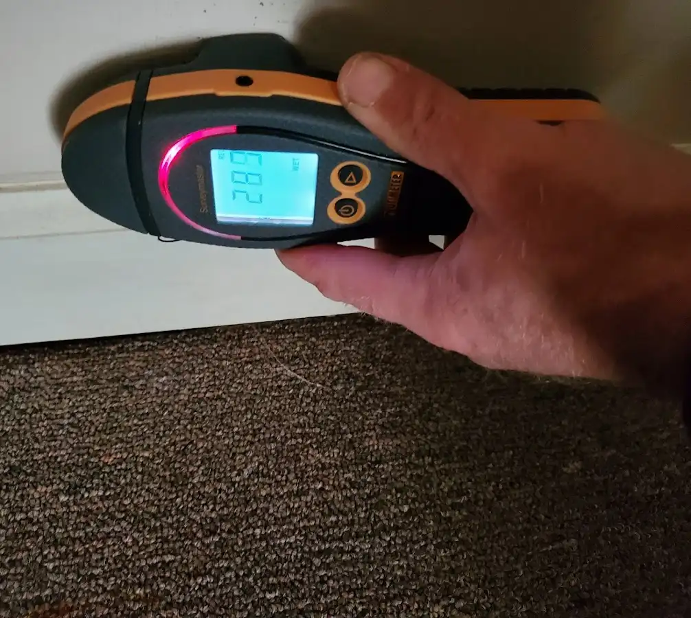 Moisture detection at baseboard during Mold Inspection & Testing in Grandview